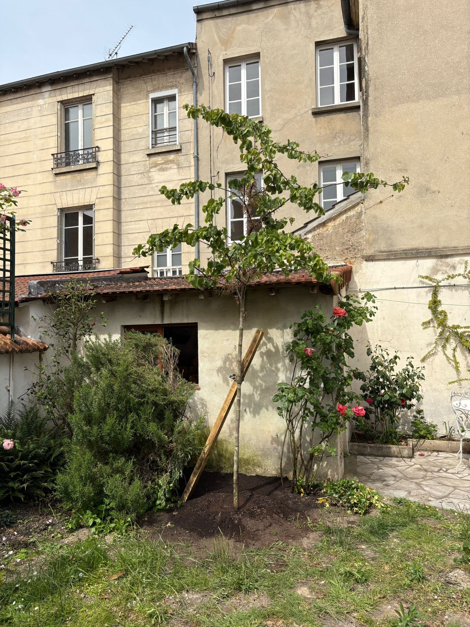 Plantations & parterres